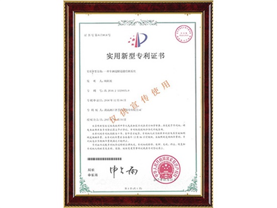 一種車輛超限超載檢測系統(tǒng)實(shí)用新型專利